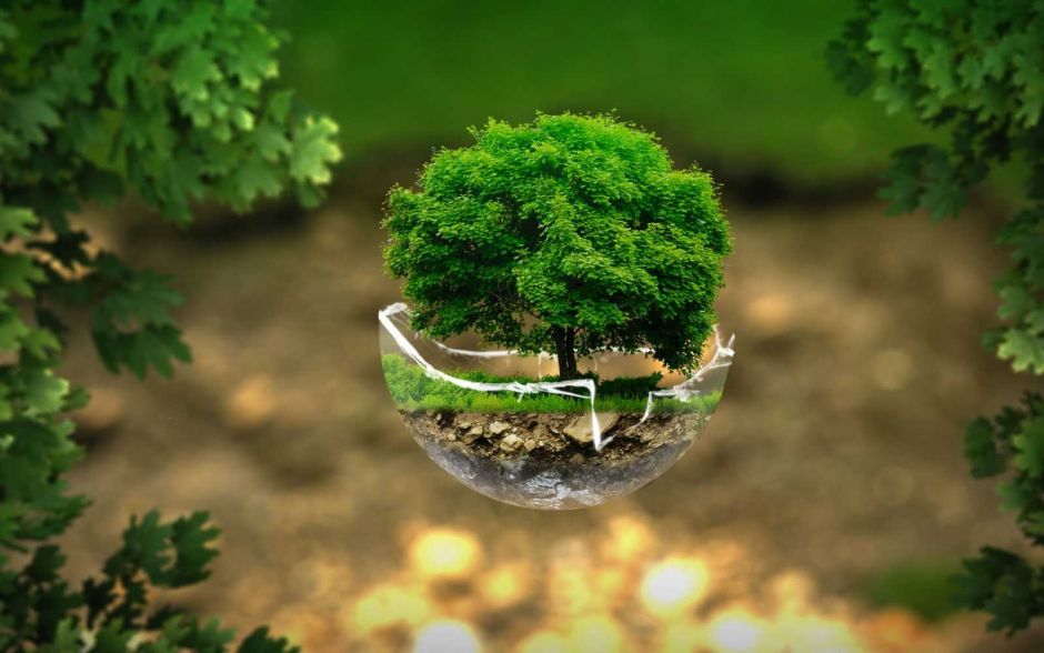 3 motive pentru care să alegi vopsirea eco-friendly 1